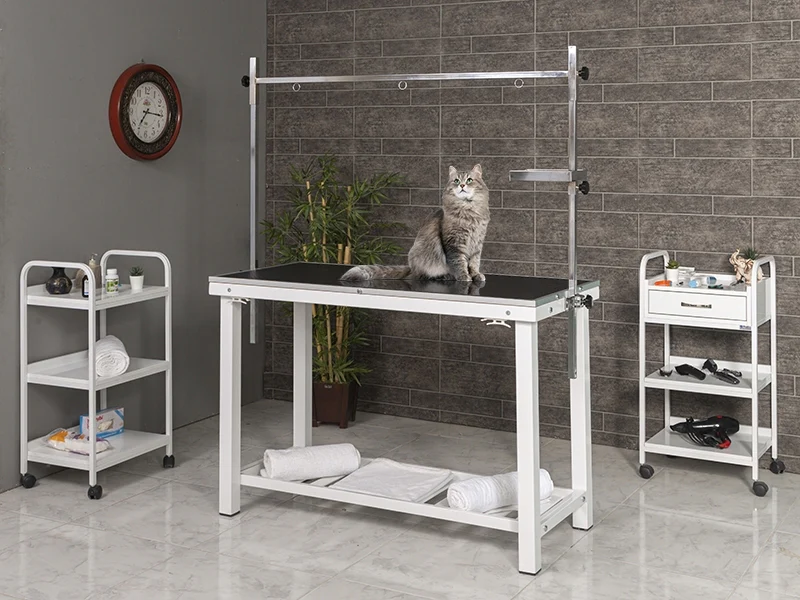 Veteriner Pet Bakım ve Muayene Masası | ProBed-6005